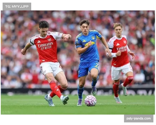 勒沃库森球迷看台打出巨型TIFO，致敬球队卫冕征程